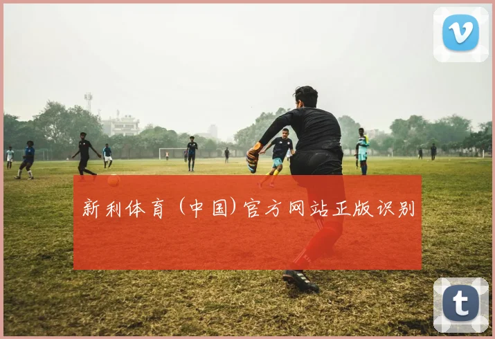 新利体育 (中国)官方网站正版识别