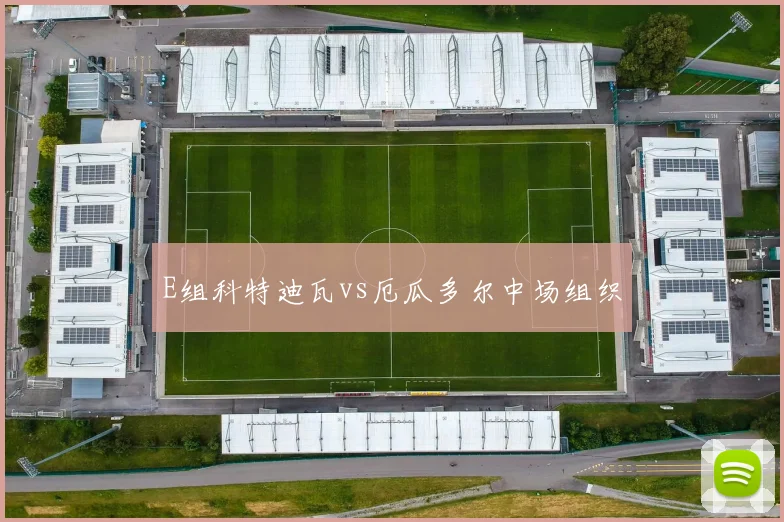 E组科特迪瓦vs厄瓜多尔中场组织